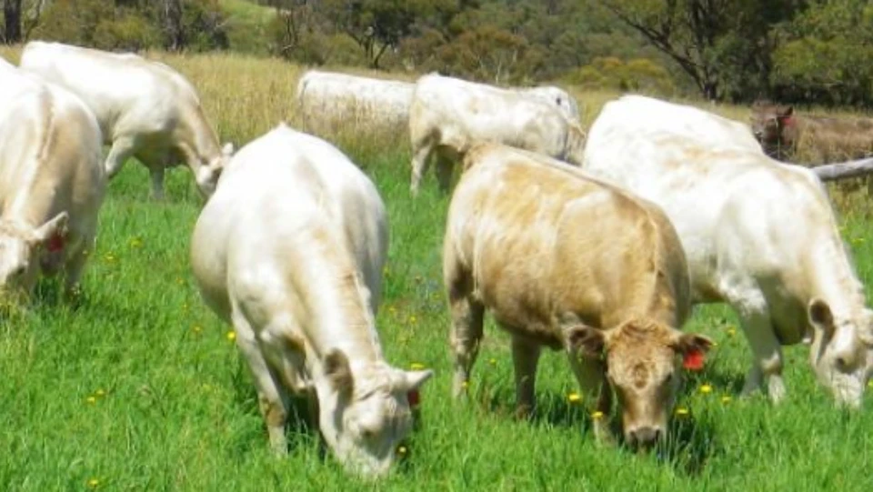 how soil health affects climate change