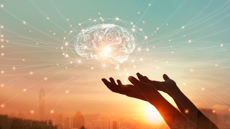 Neuroscience And The Wonders Of The Brain