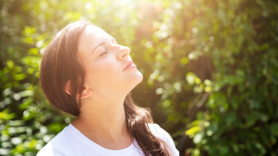 holistic health