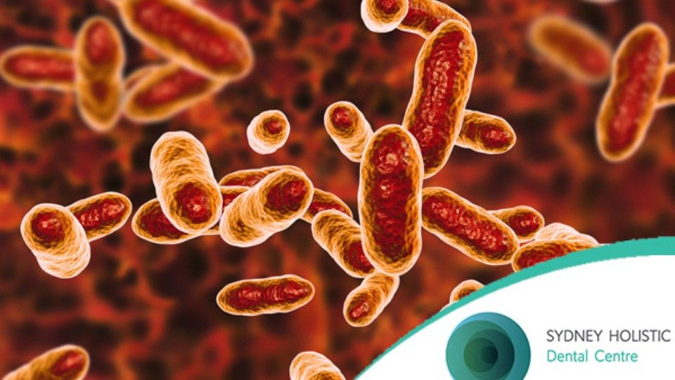 microscopic illustration of bacteria