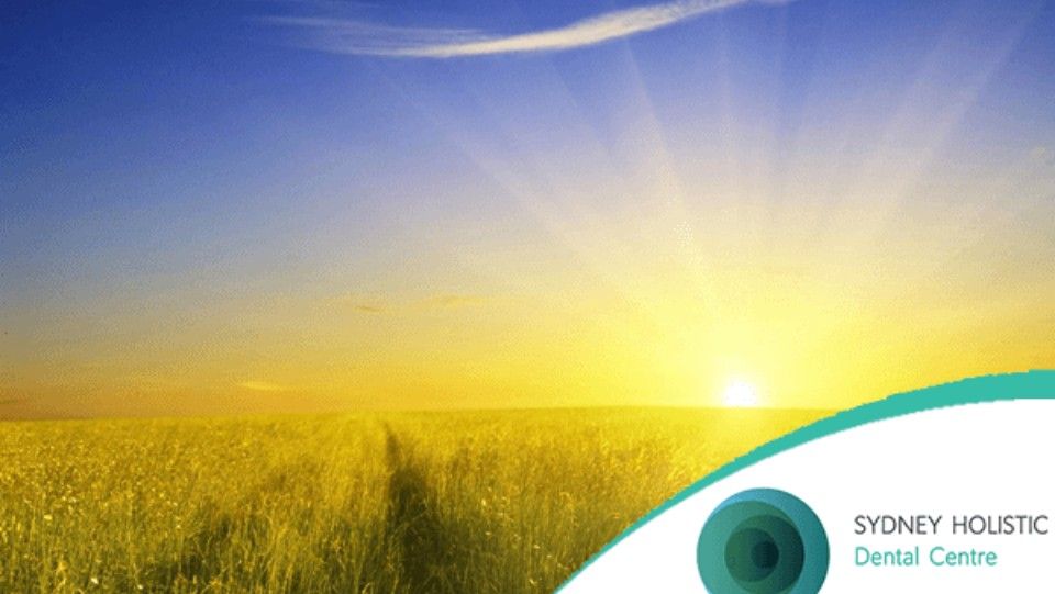 holistic health
