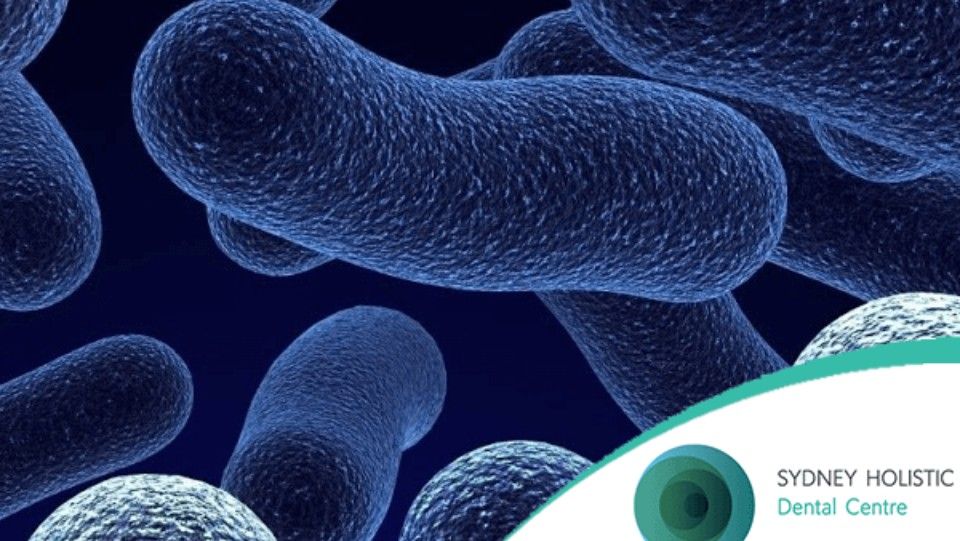 bacteria