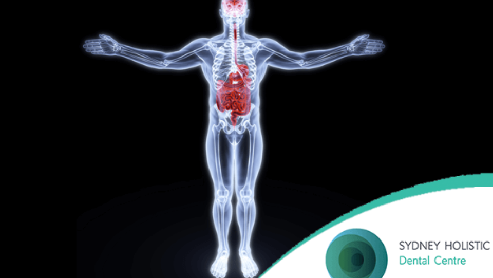 Human body anatomy