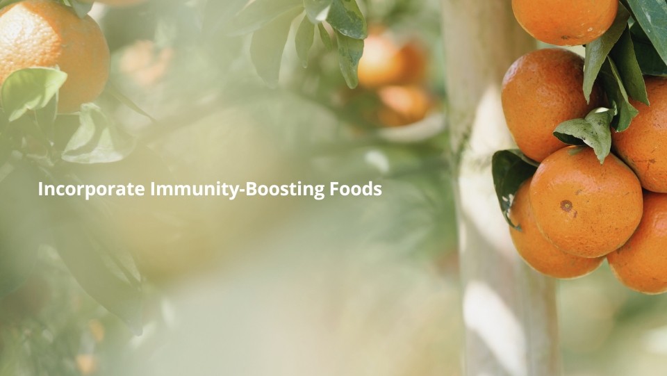 Winter Wellness Vitamins